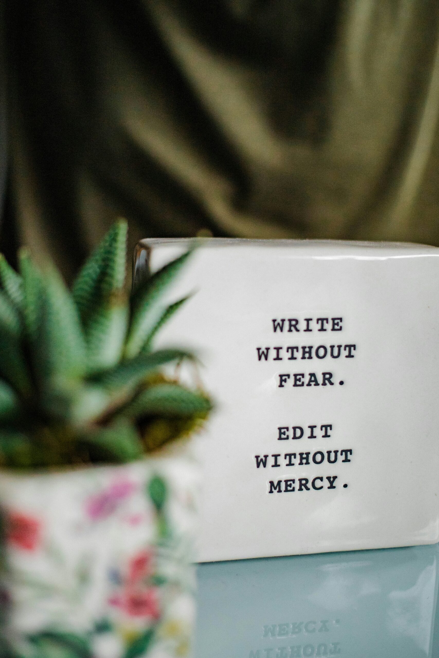 write-without fear-edit-without-mercy